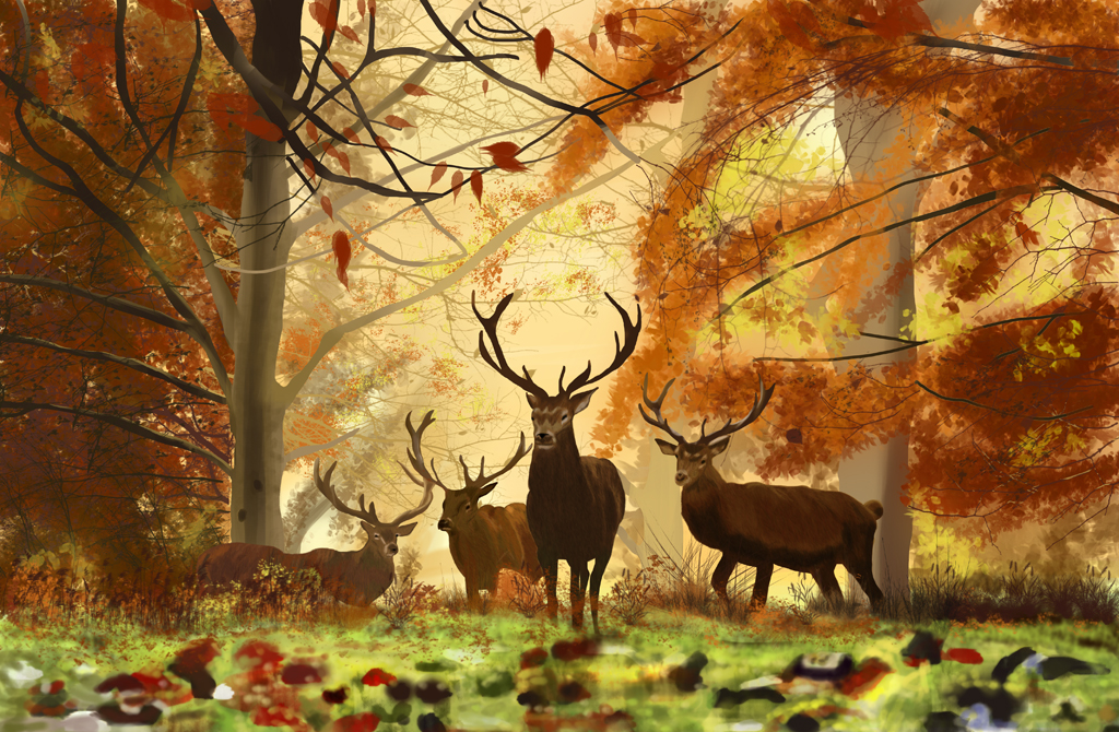 cerfs-automne-fg-web-1.jpg