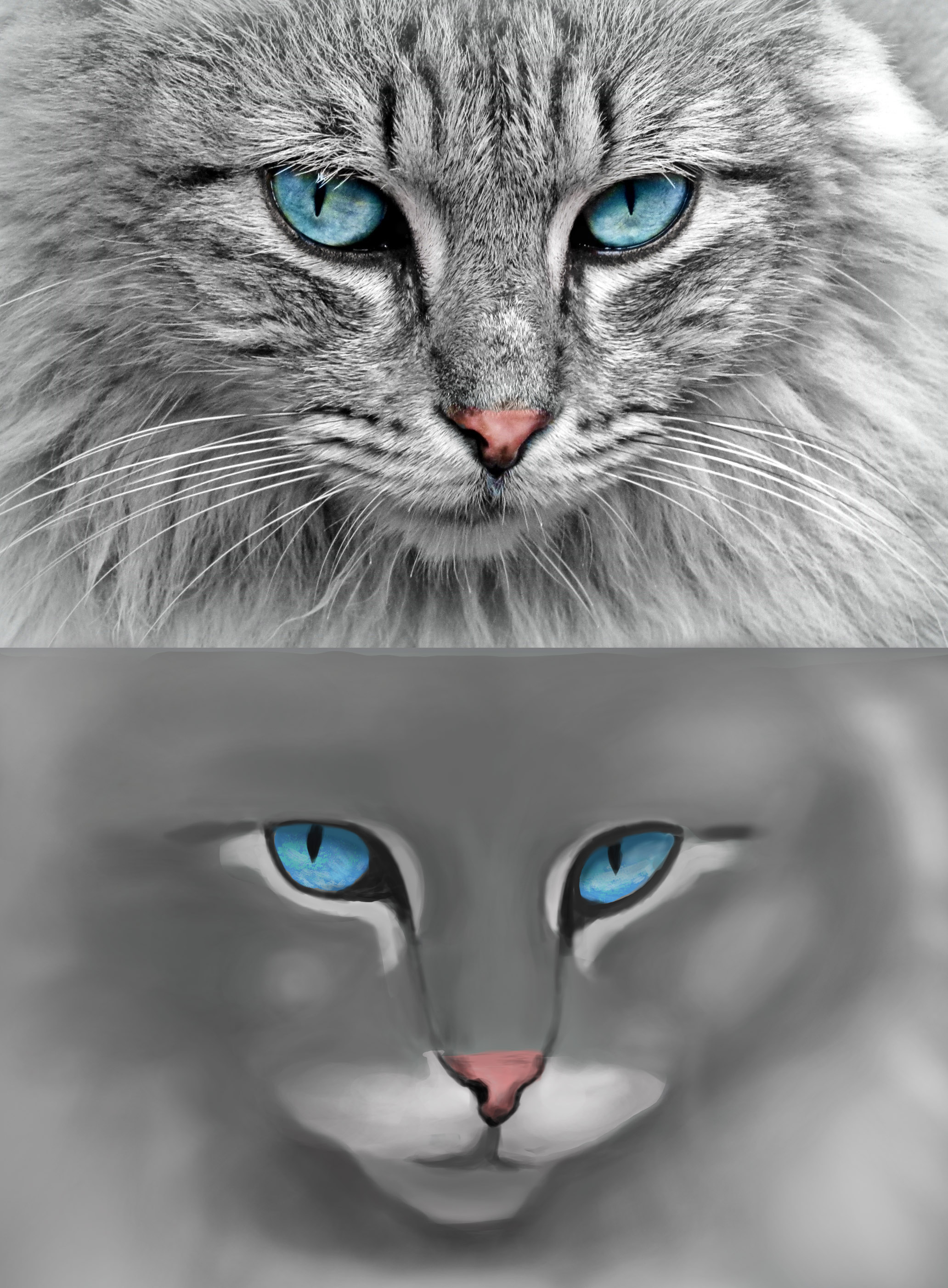 chat-2-version1.jpg