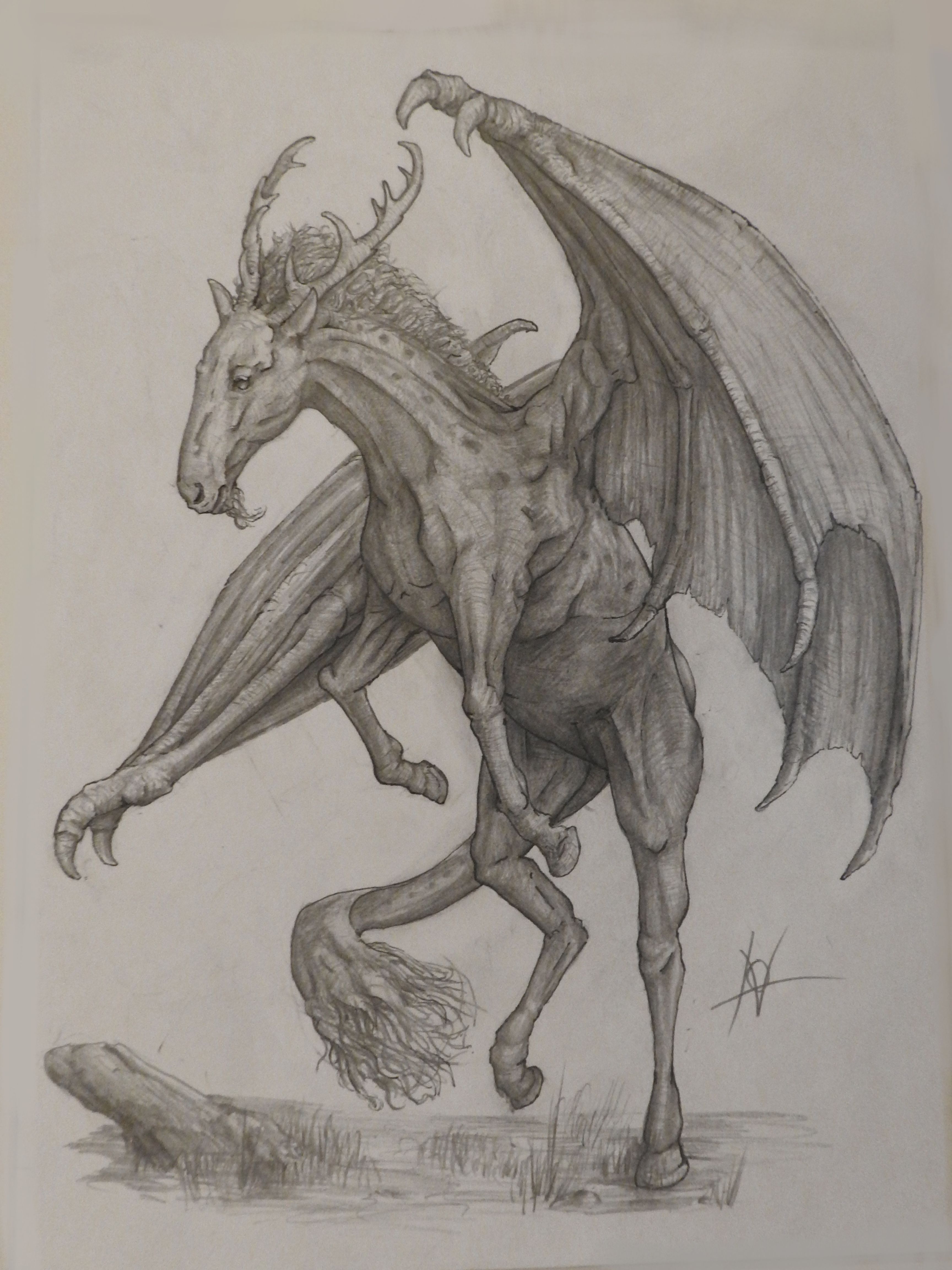 cheval-dragon-cerf.jpg