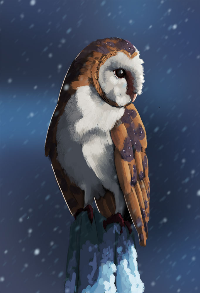chouette-1.jpg