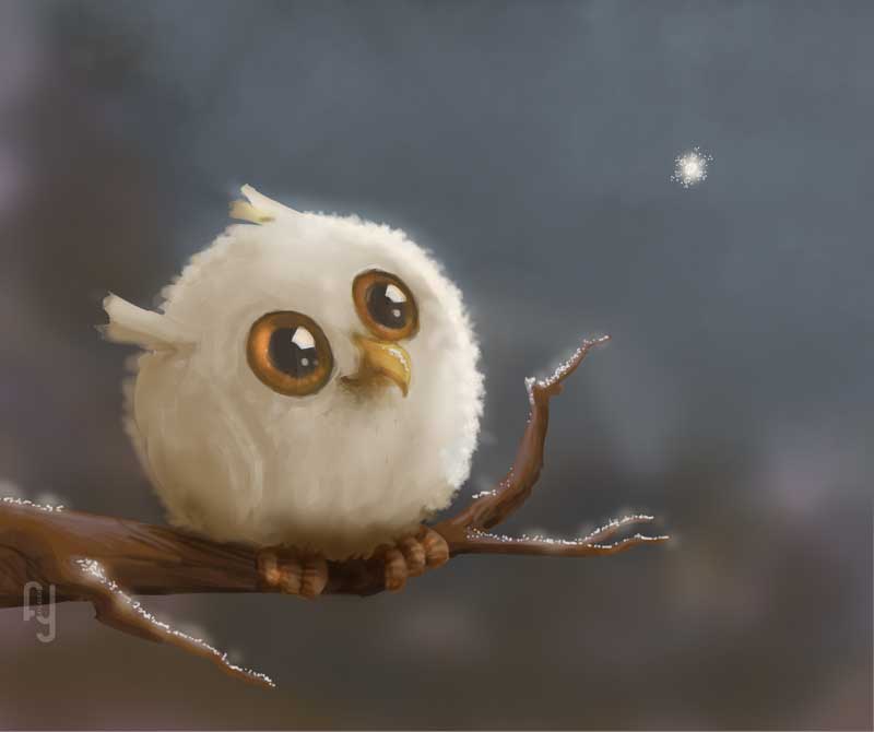 chouette-2.jpg