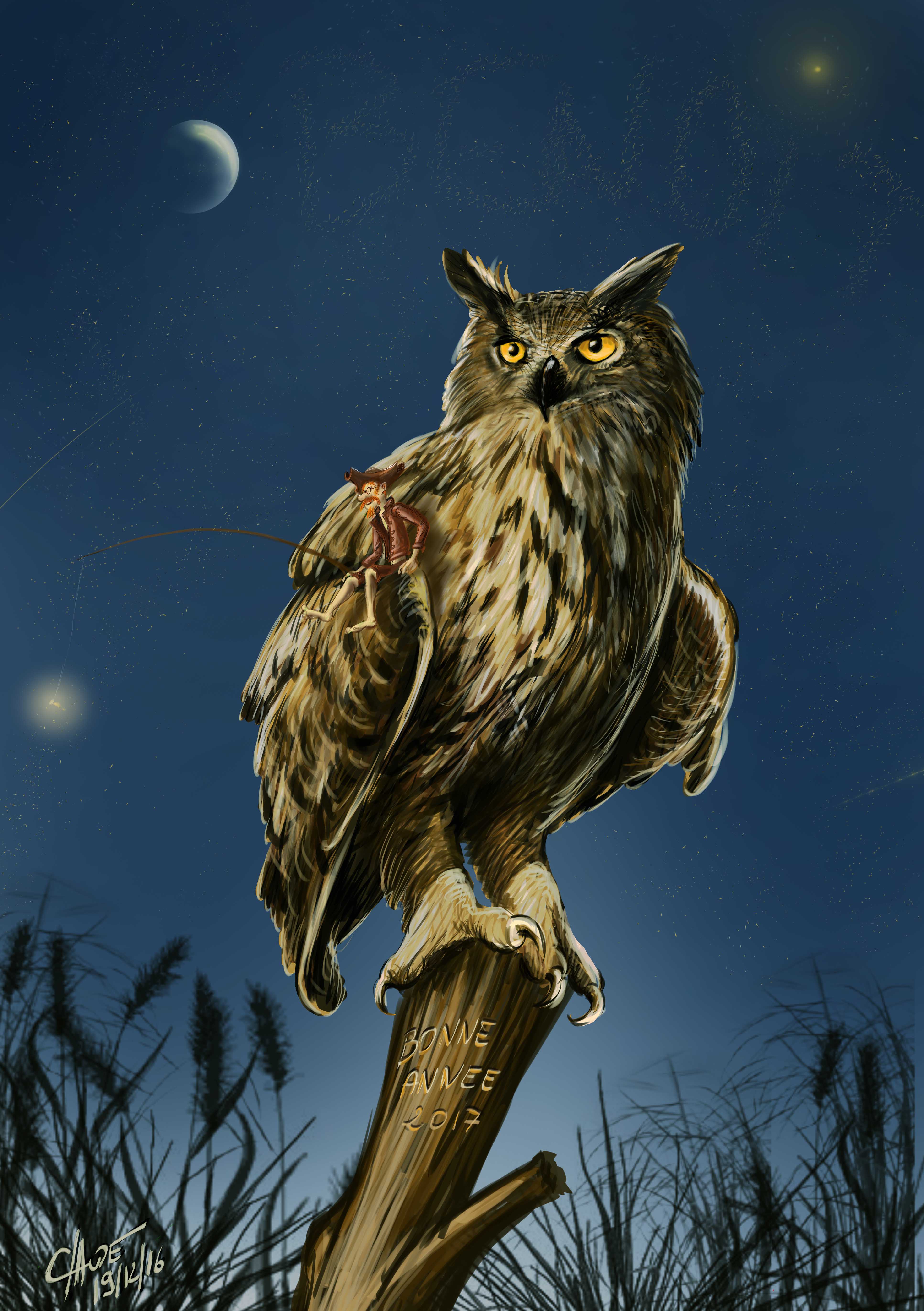 chouette6.jpg