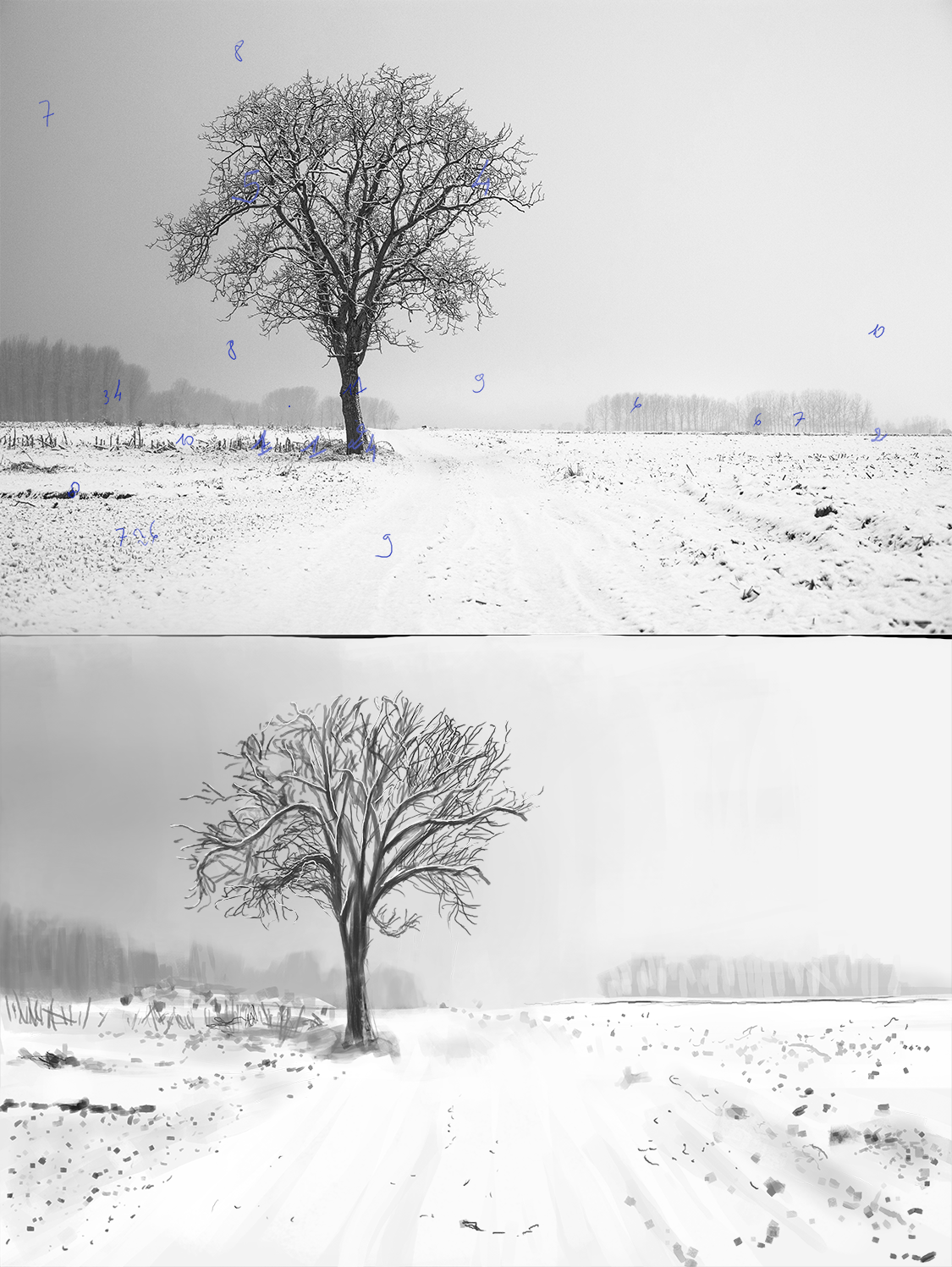 cold-snow-landscape-nature@075x-1.png