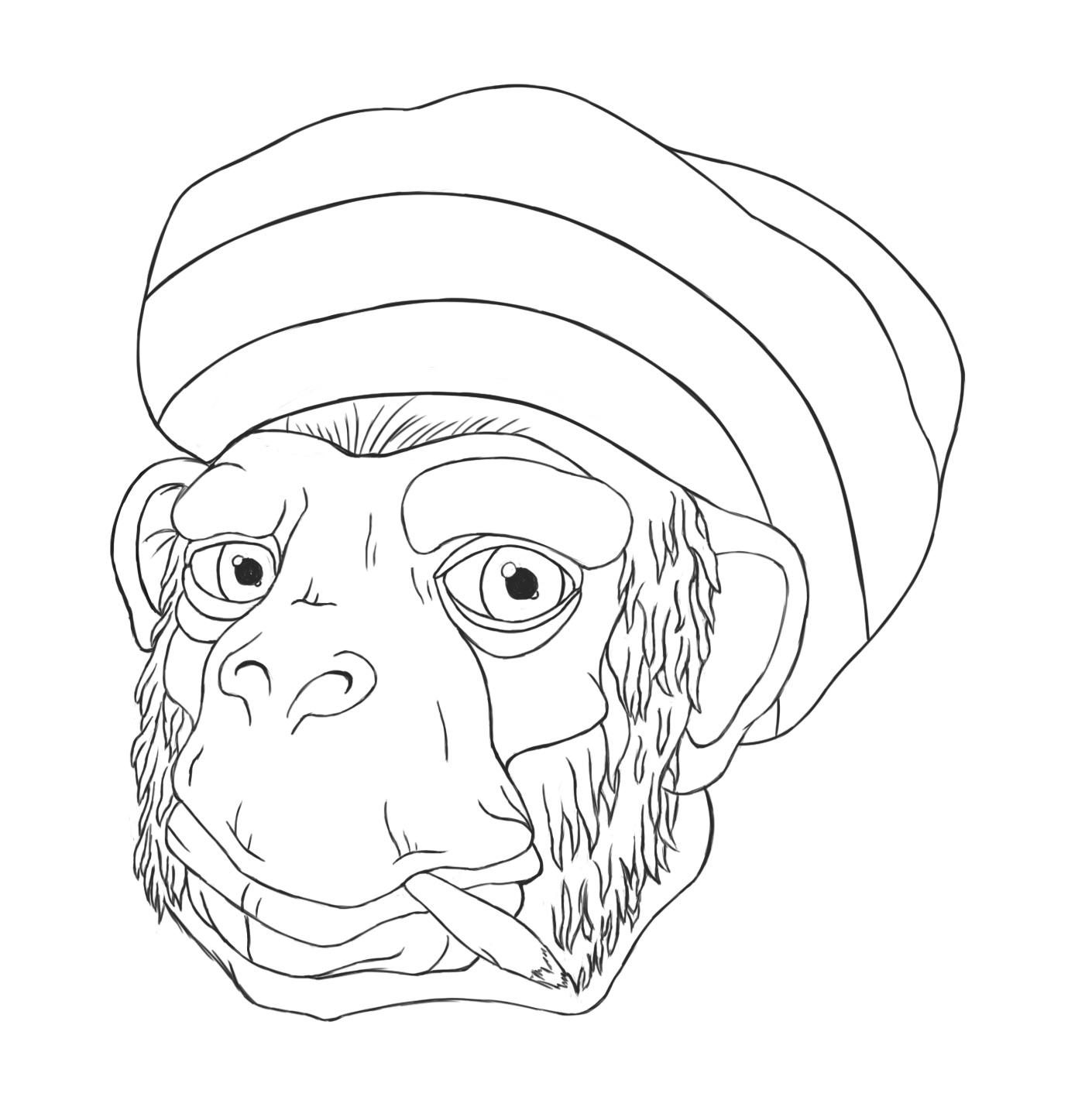 croquis-Rasta-Chimp-1.jpg