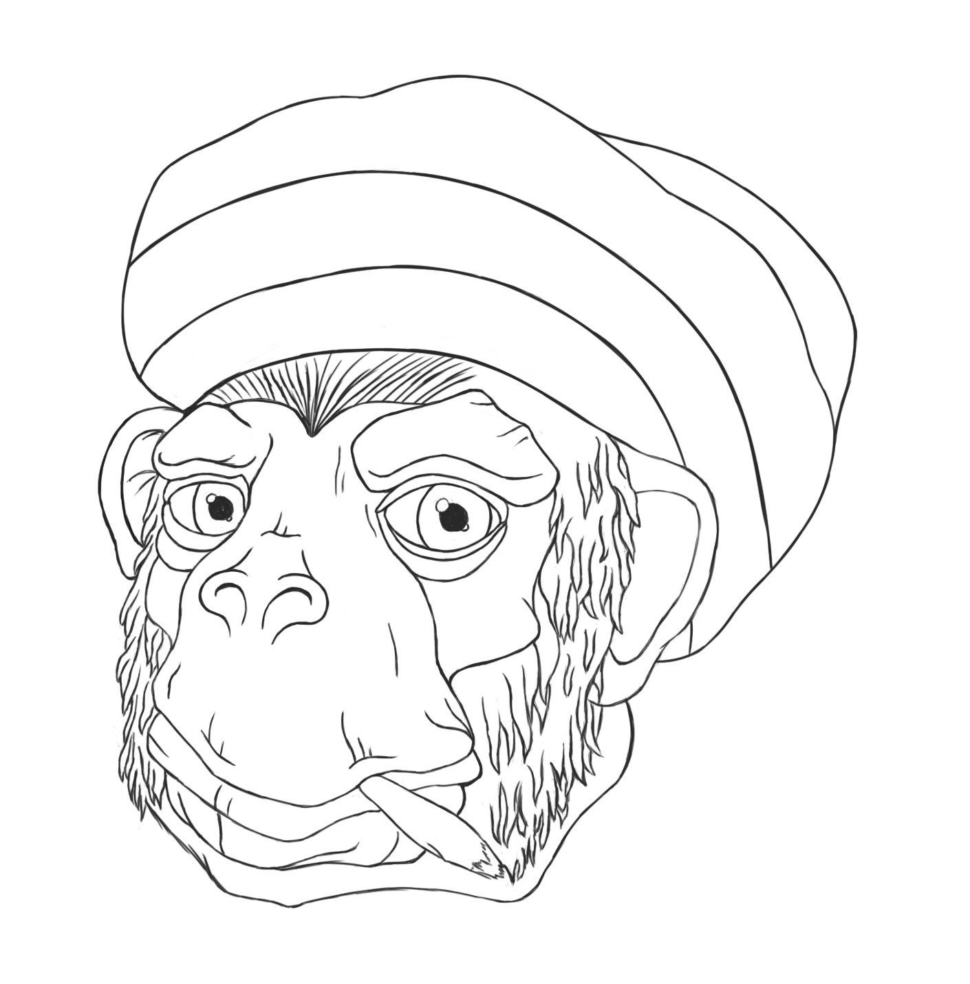 croquis-Rasta-Chimp-2.jpg