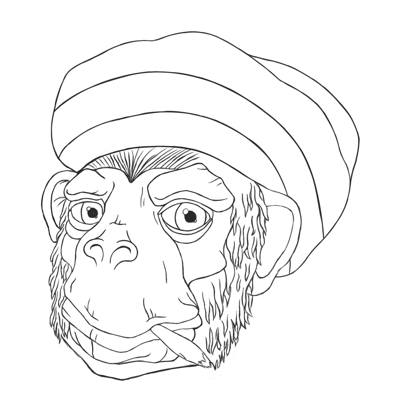croquis-Rasta-Chimp-3.jpg