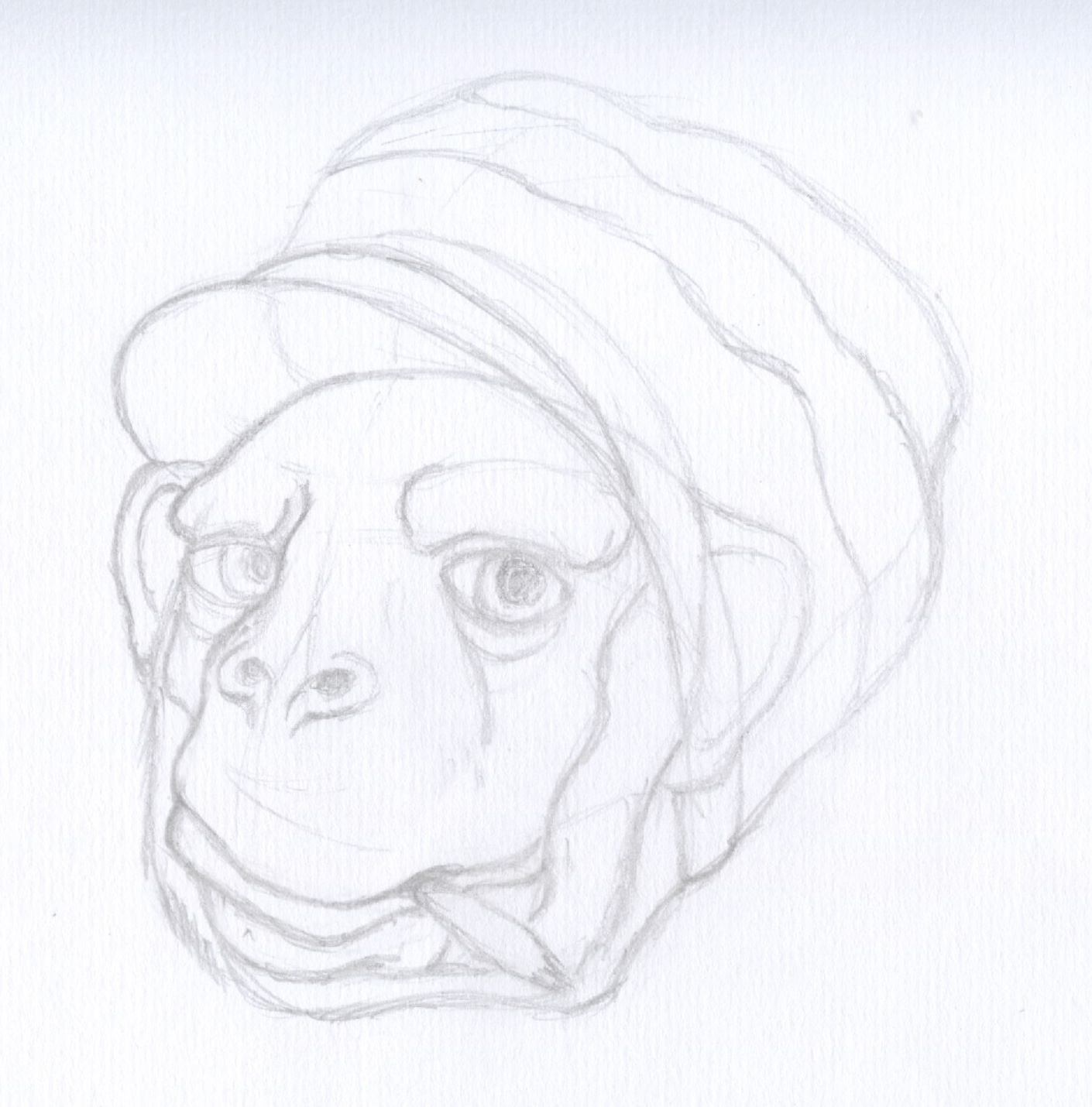 croquis-Rasta-Chimp-paper.jpg