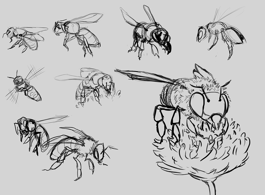 croquis-abeille.jpg