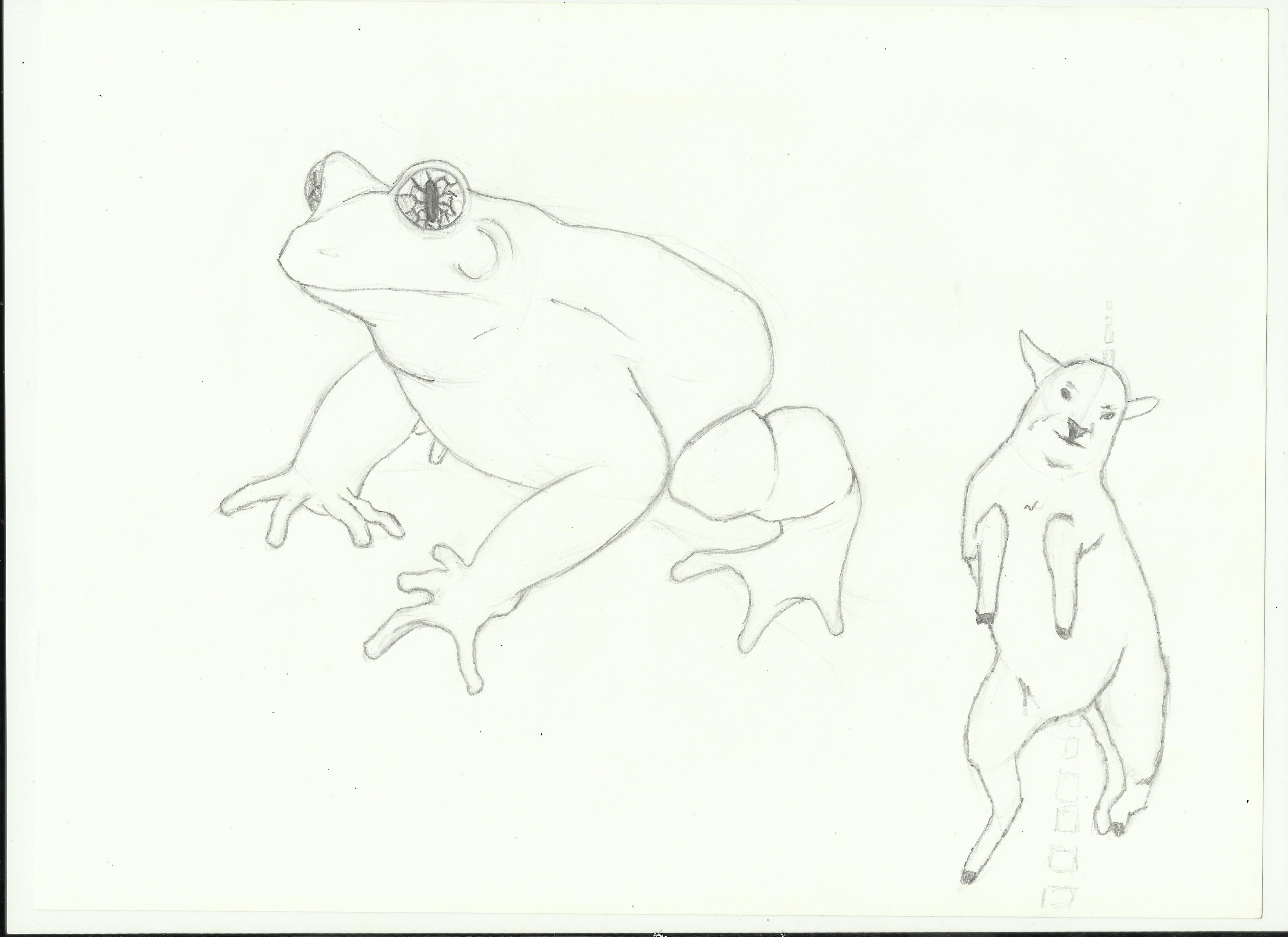 croquis-animaux-2.jpg