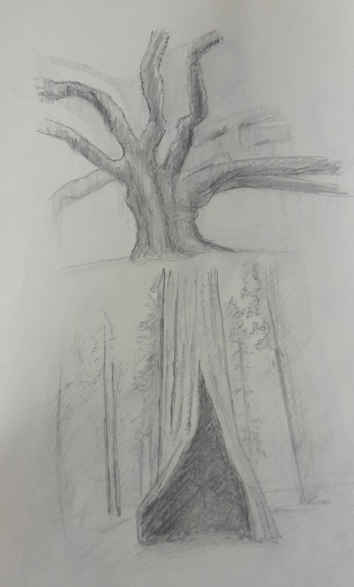 croquis-arbre-2.jpg