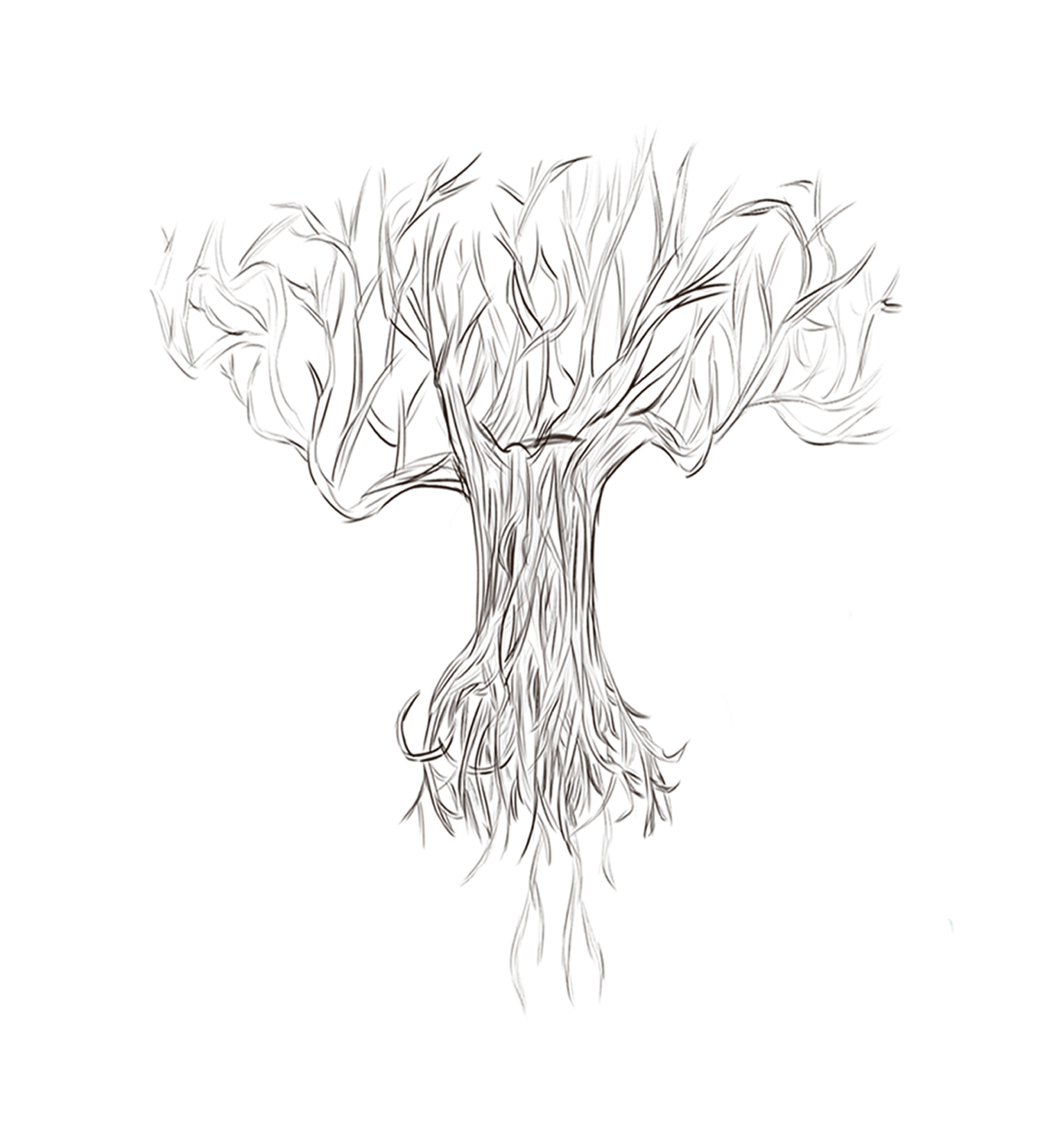 croquis-arbre-volant.jpg