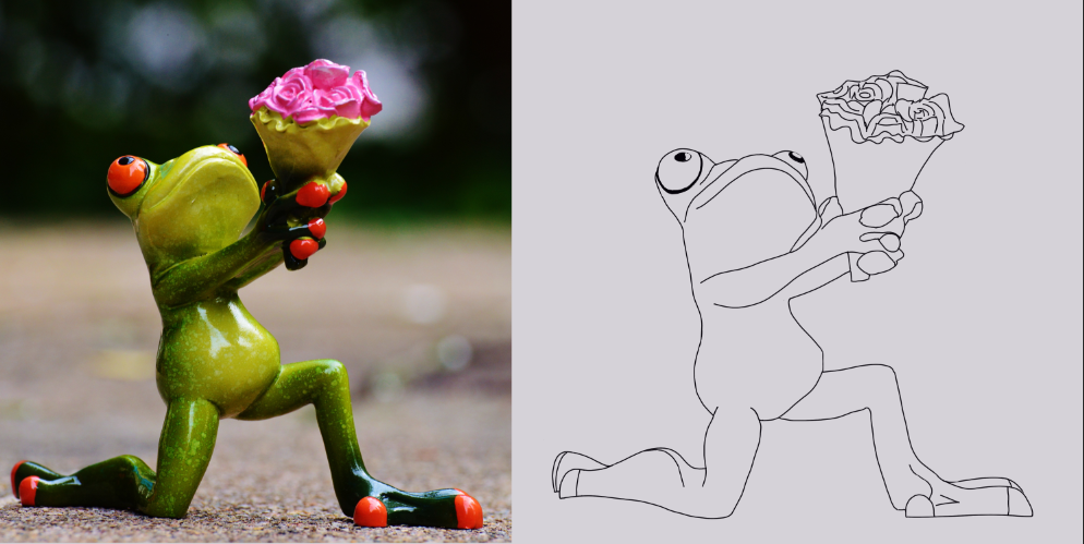 croquis-grenouille-1.png