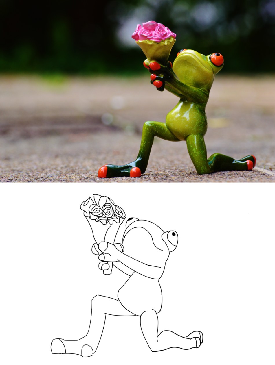 croquis-grenouille.jpg