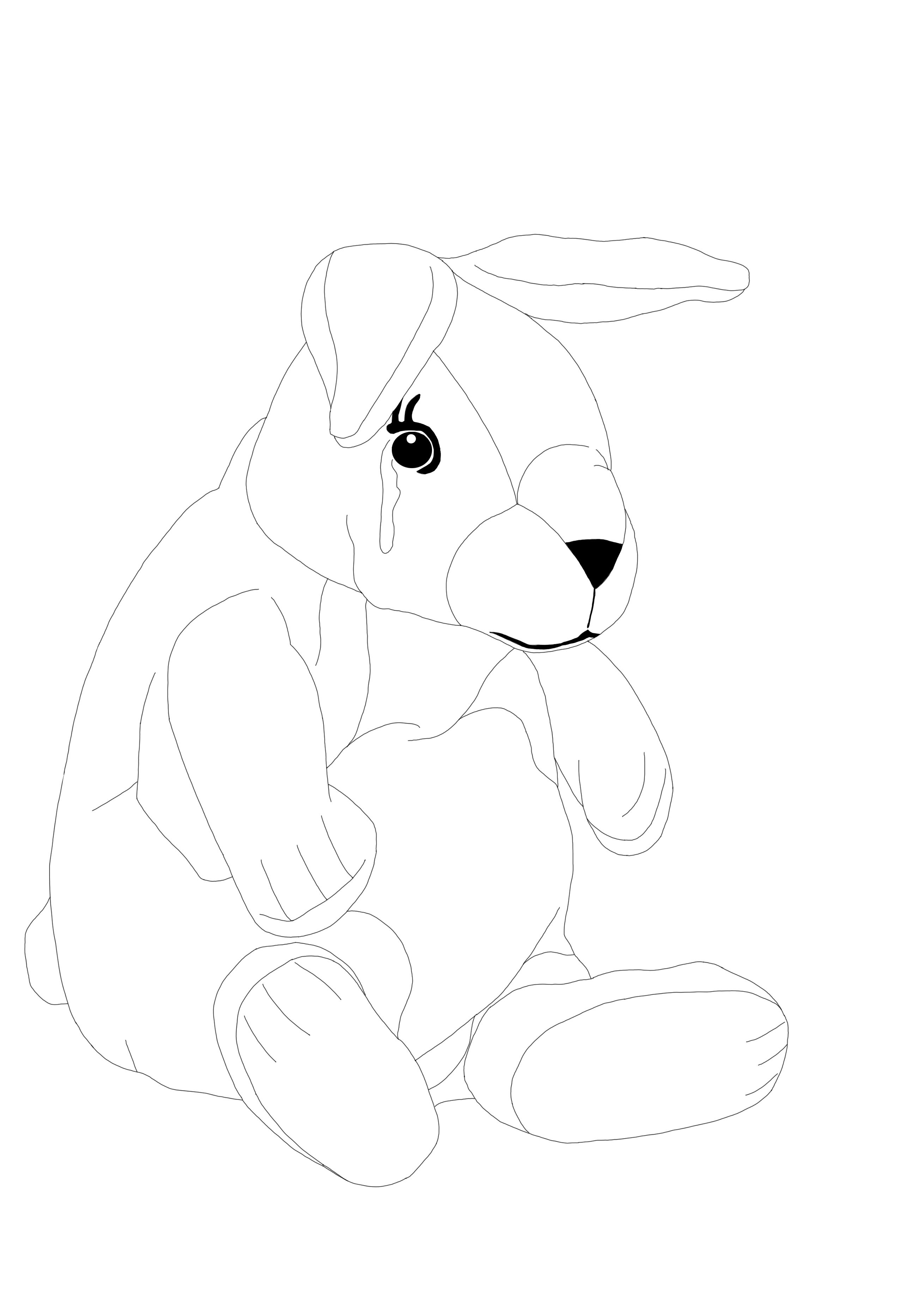 croquis-lapin-1.jpg