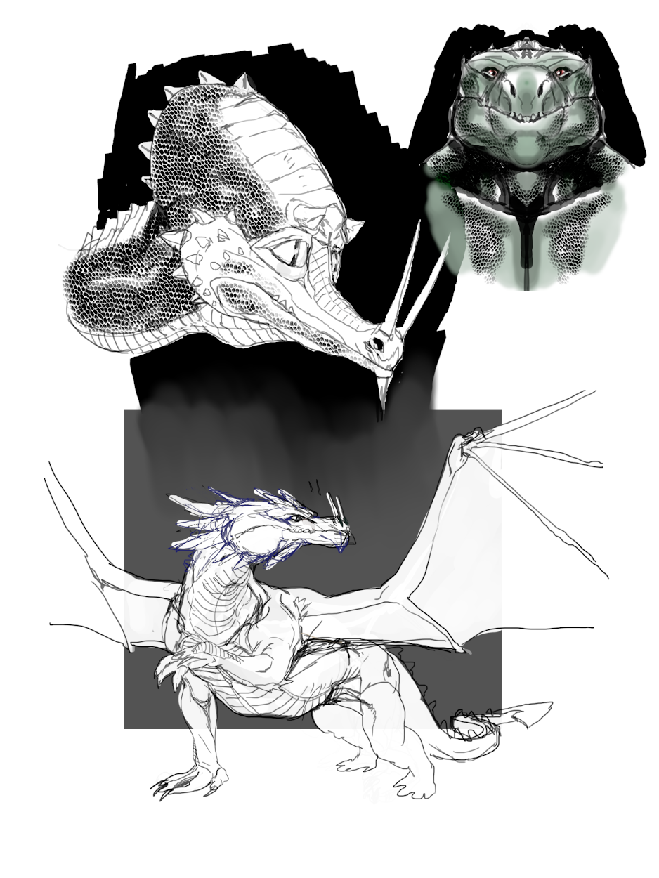 dragon-3-2.png