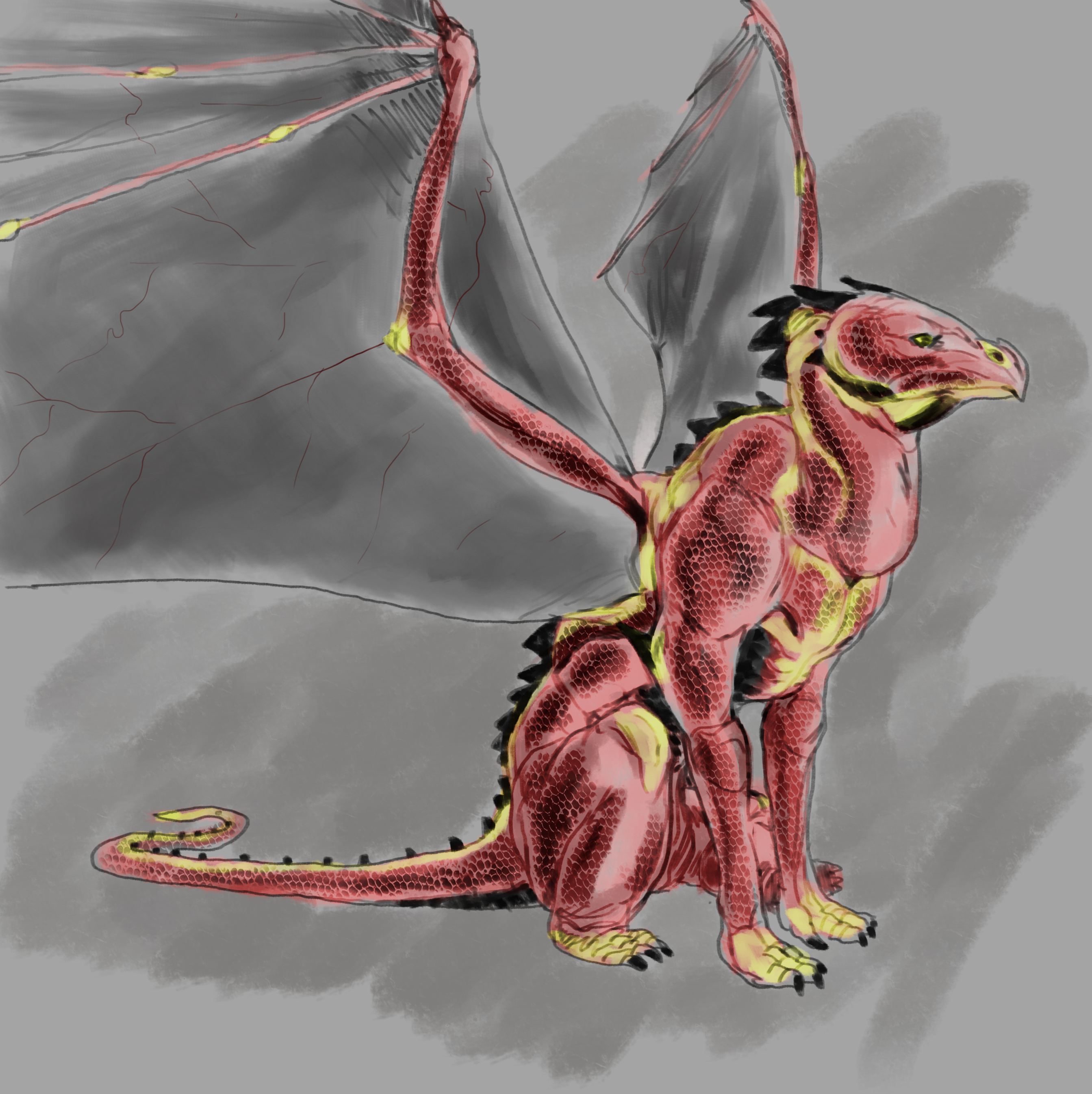dragon-4-3.jpg