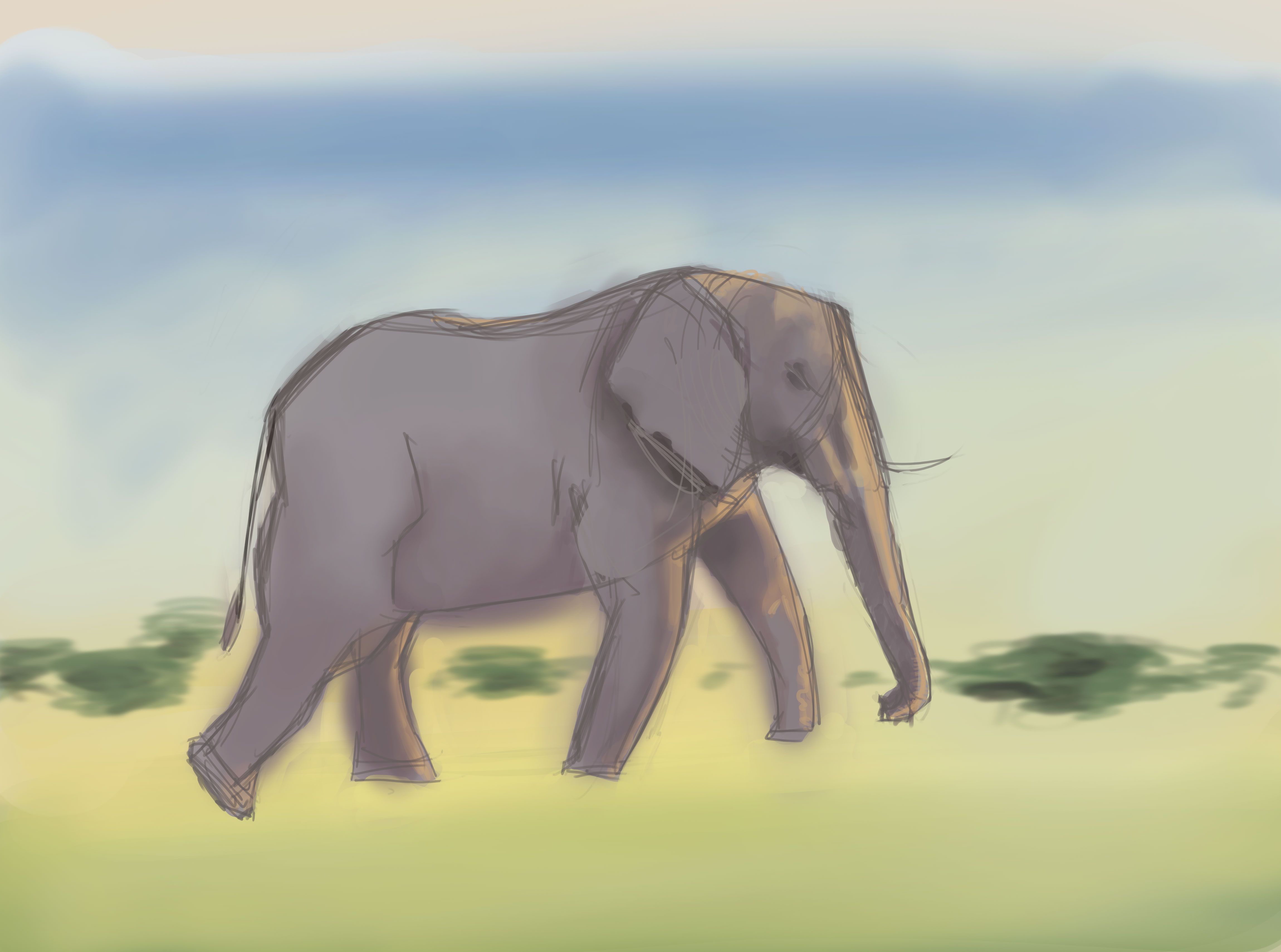 elephant-1.jpg