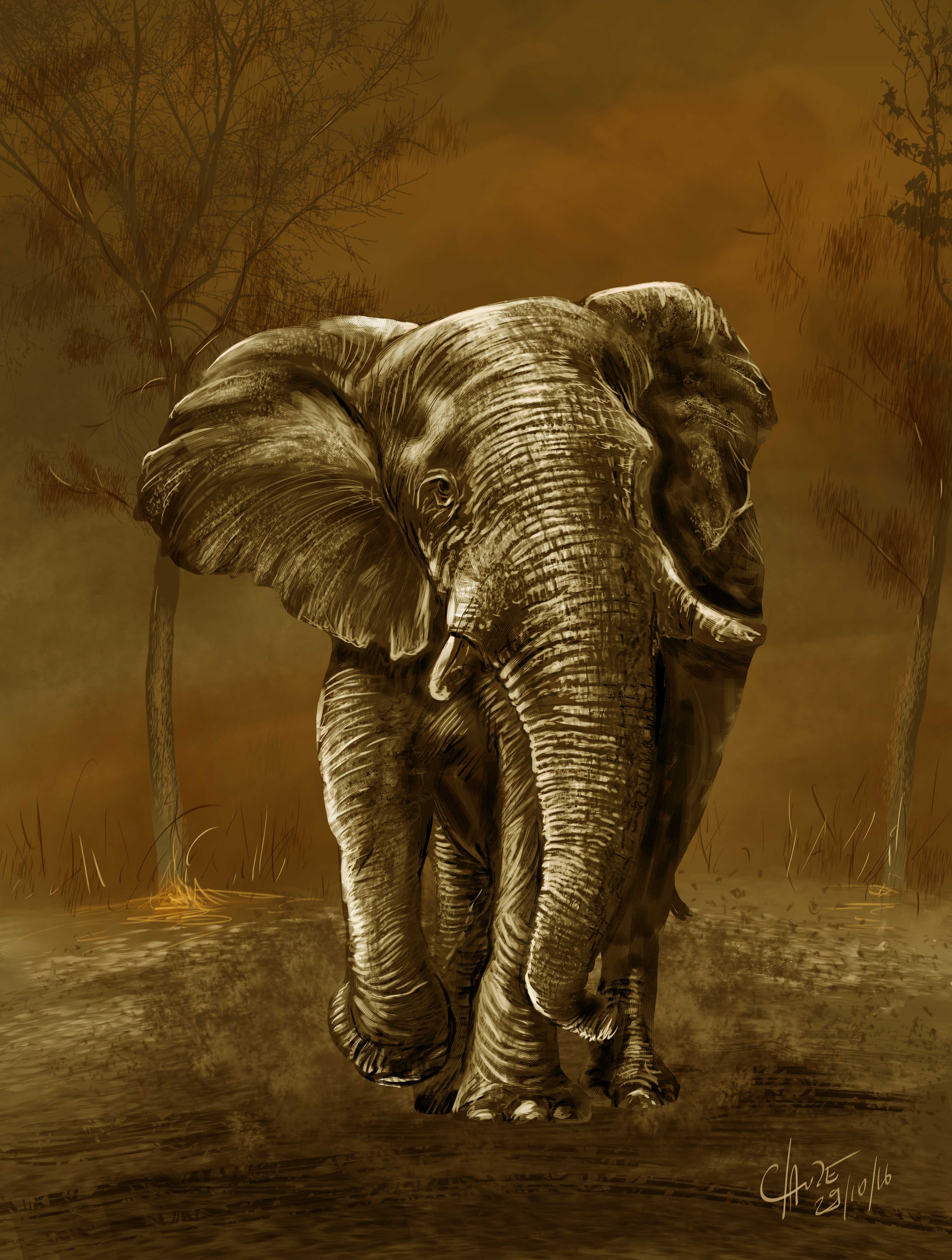elephant3-1.jpg