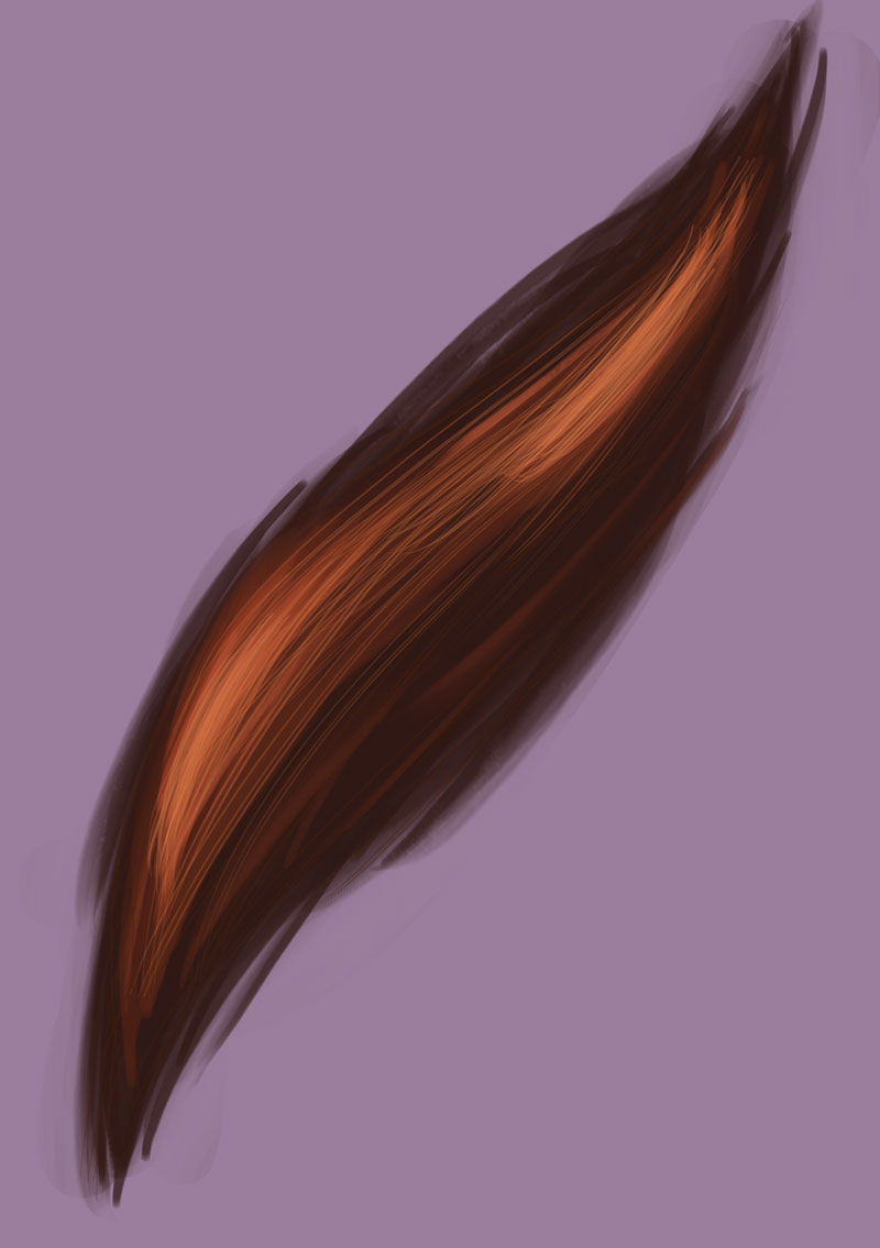 exercice.texturing.hair_.jpg