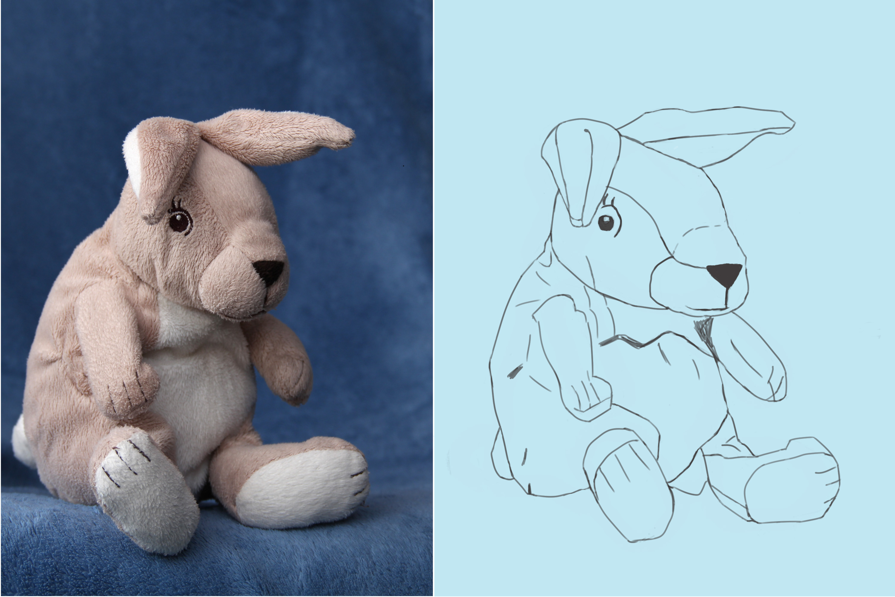 exo-croquis-lapin.jpg