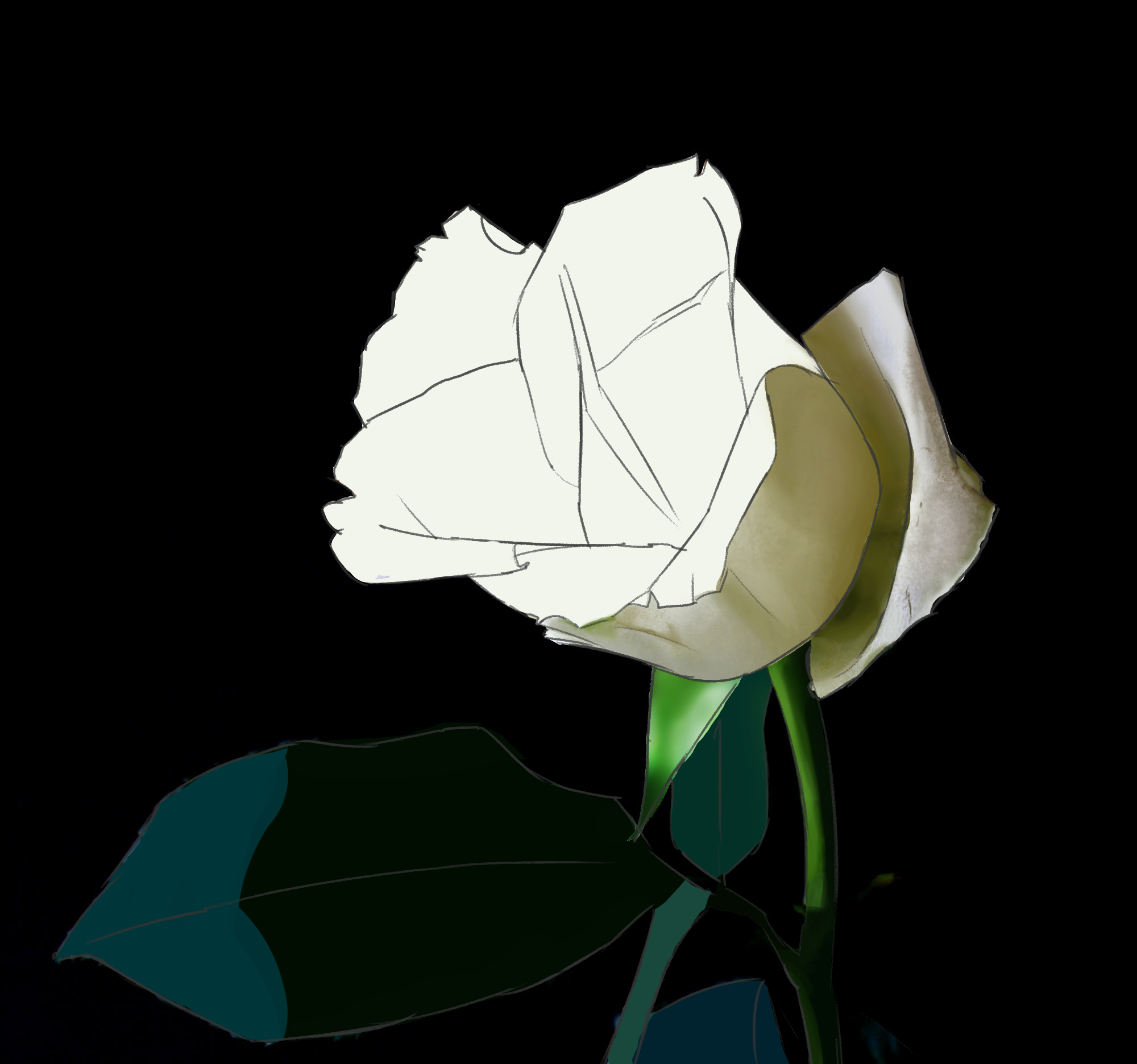 exo-rose-png.png