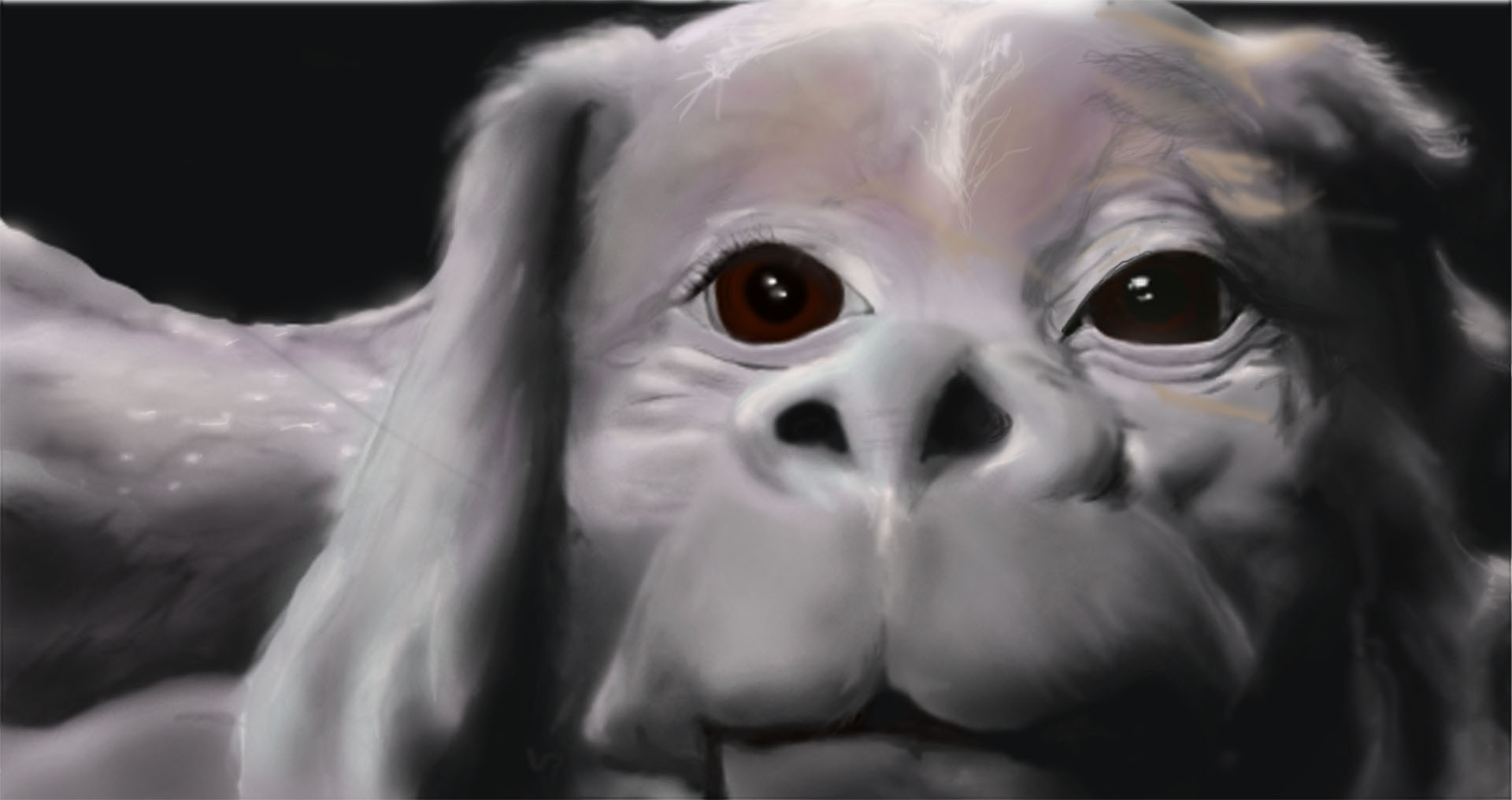 falkor2-copy.jpg