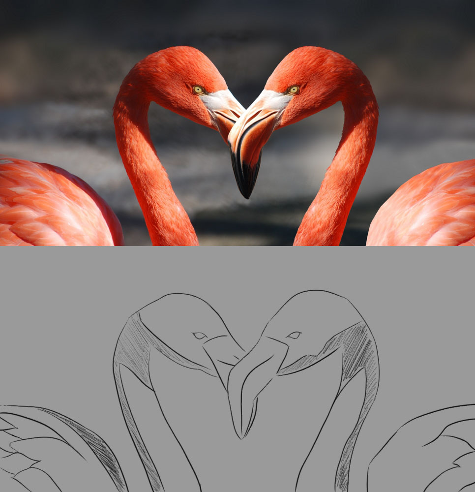 flamingo-valentine-heart-valentine-s-day-39627-1.jpg