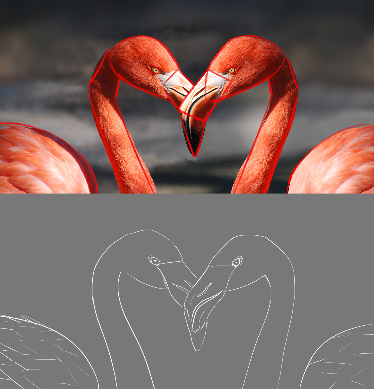 flamingo-valentine-heart-valentine-s-day