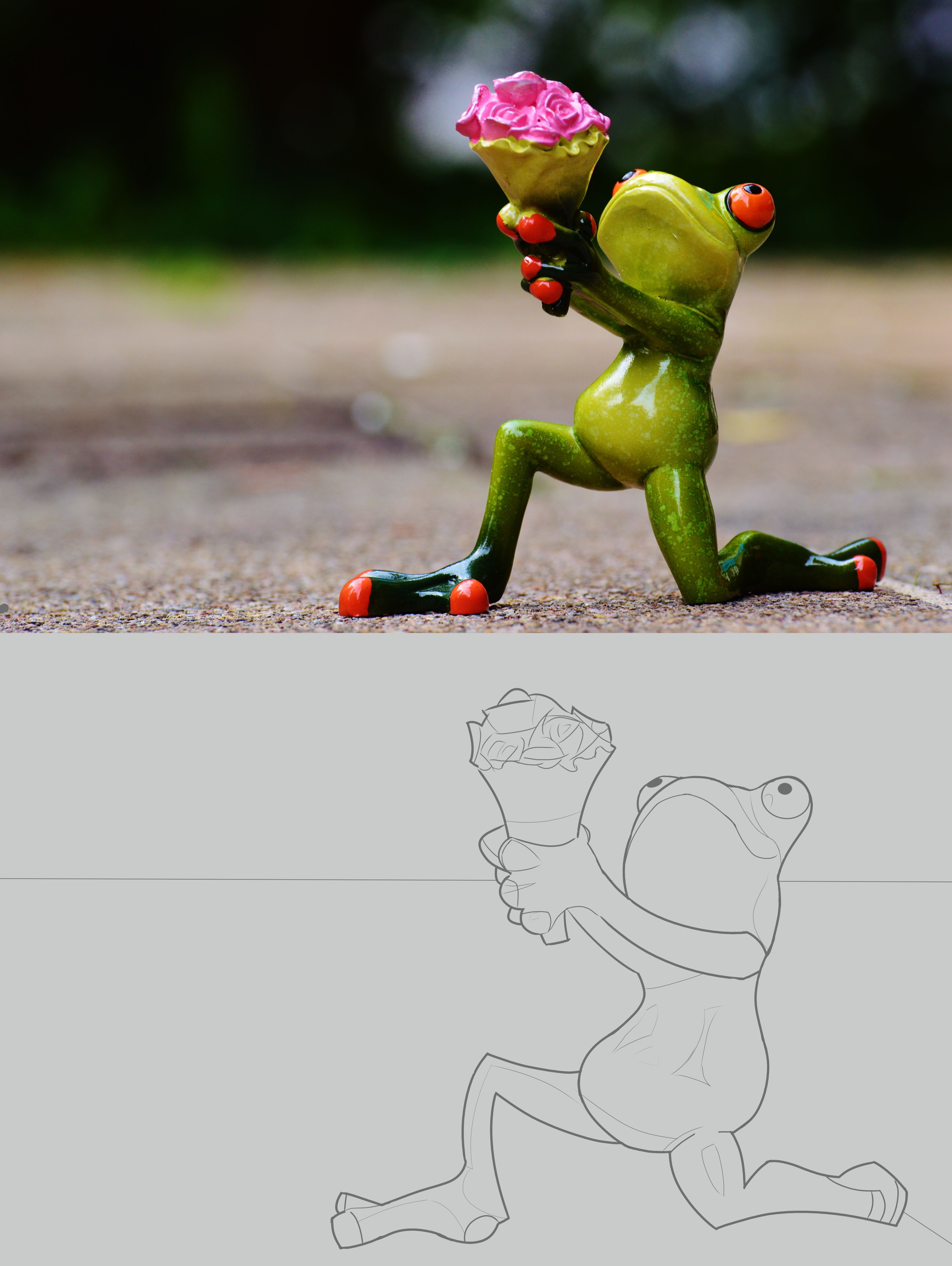 frog-7.jpg