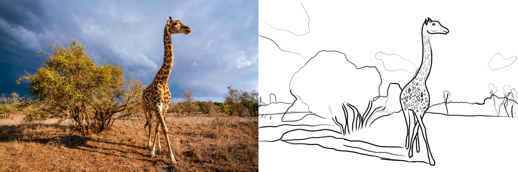 girafe-dans-un-paysage-d-orage.jpg