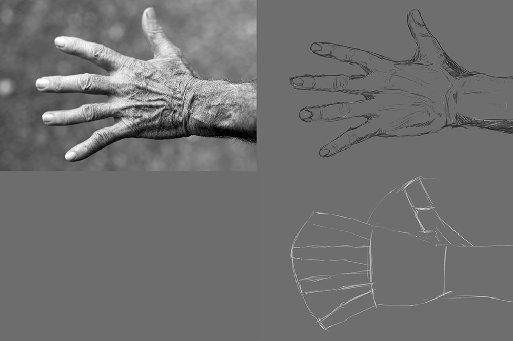 hand-elderly-woman-wrinkles-black-and-wh