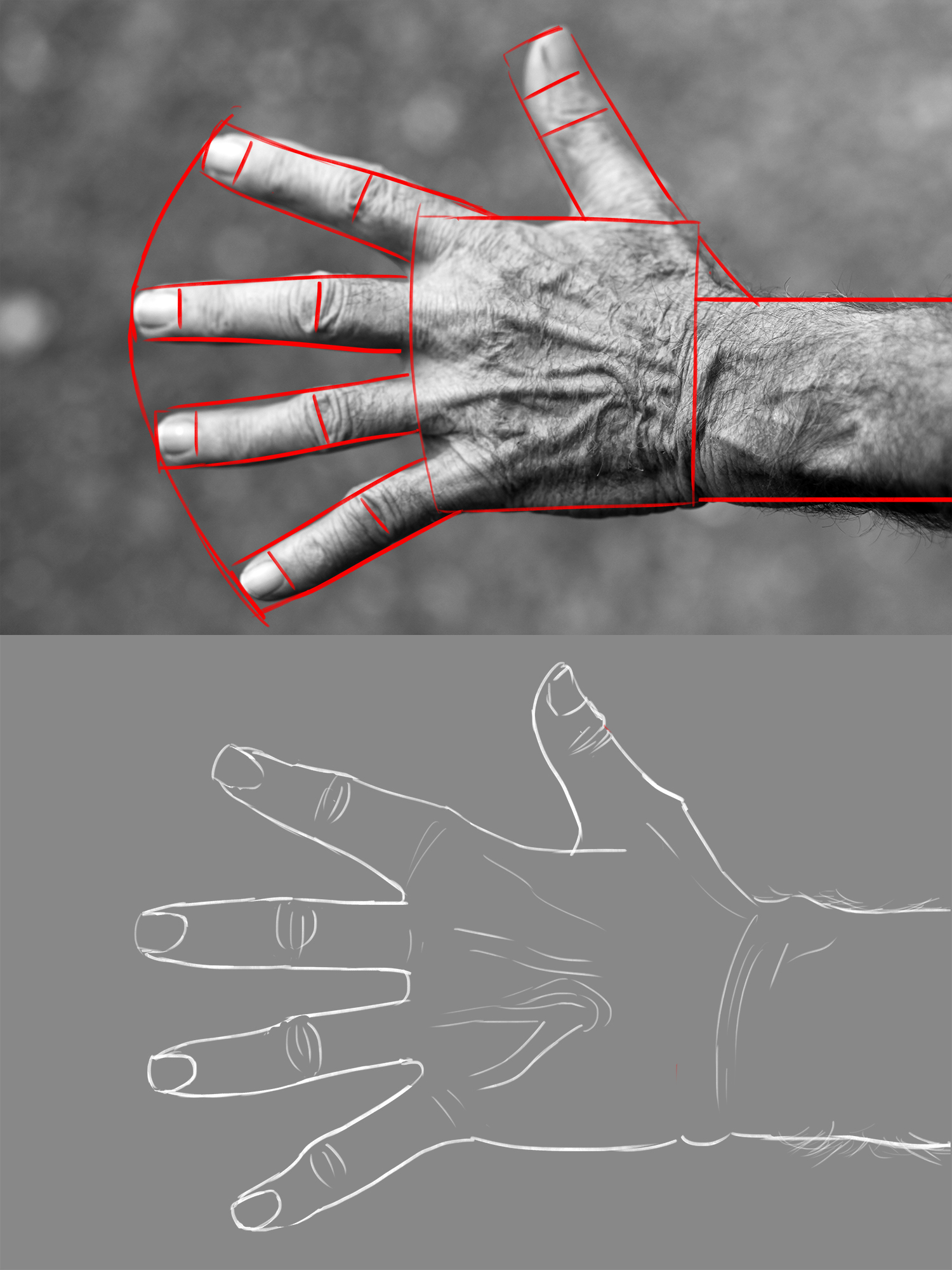 hand-elderly-woman-wrinkles-black-and-wh