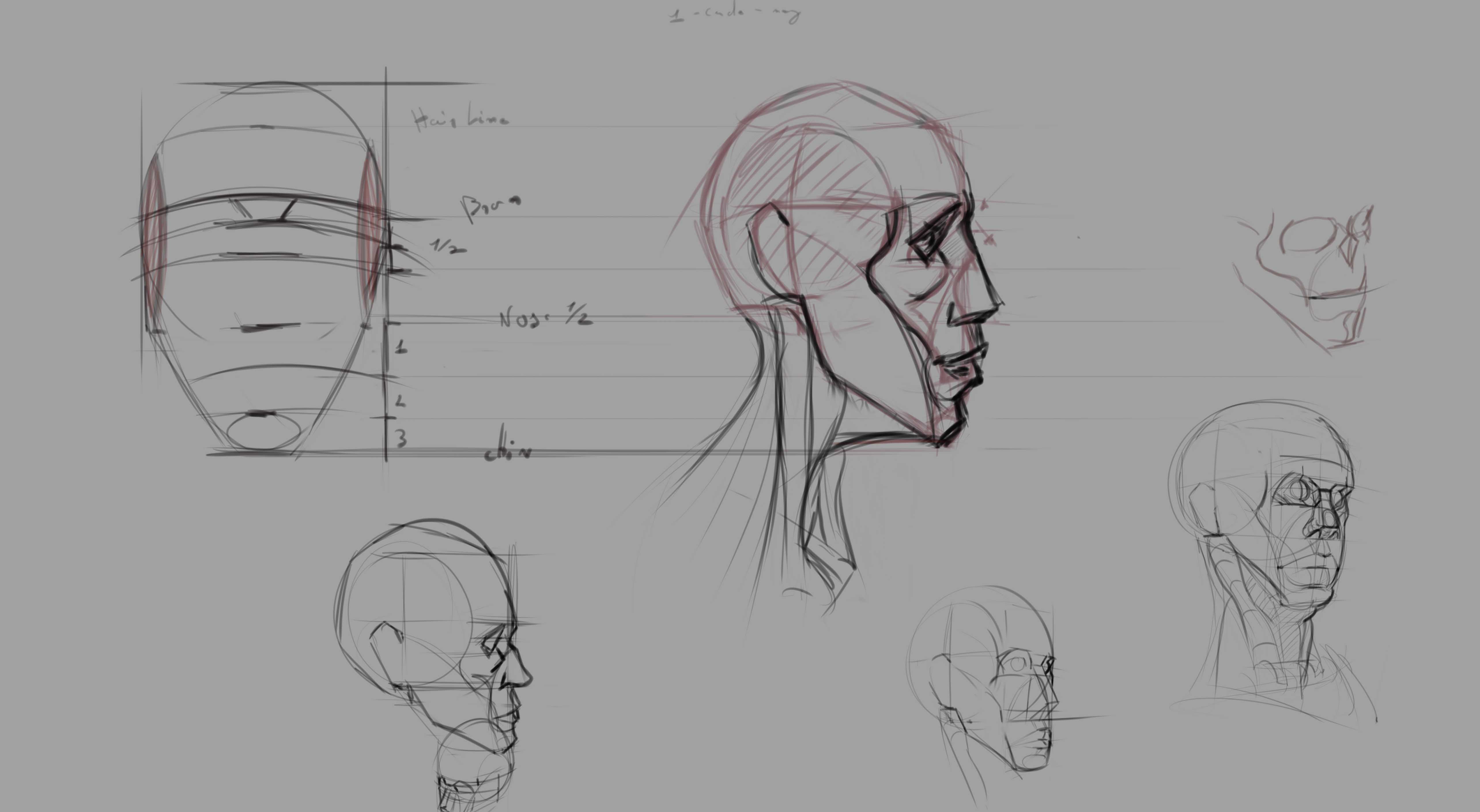 head_02.jpg