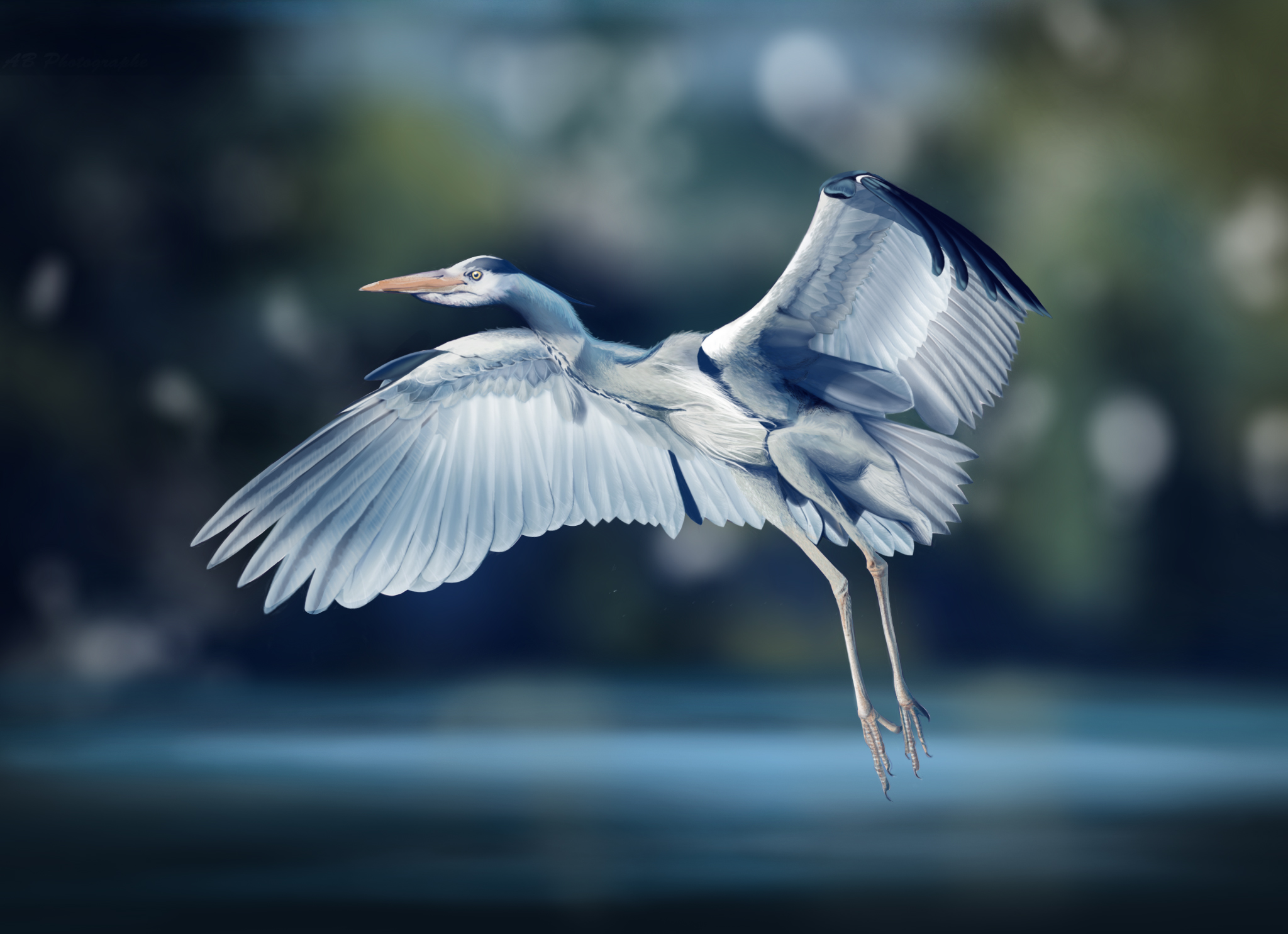 heron_final.jpg