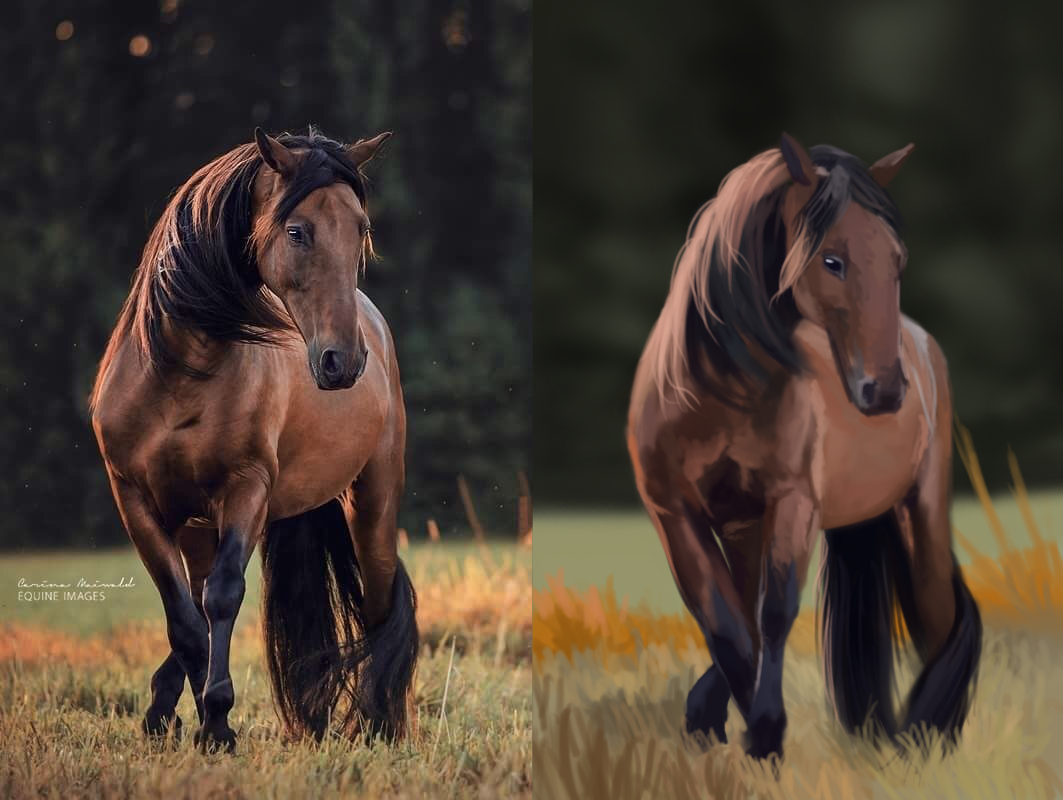 horse.png