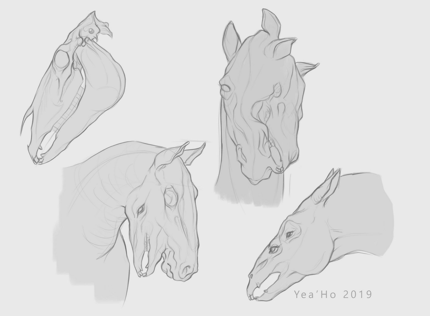 horses-mutation-1.jpg