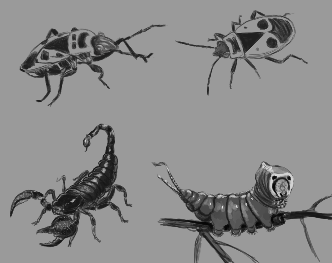 insectes2.png