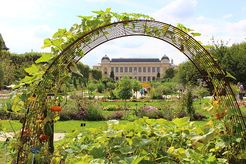 jardindeplantes.jpg
