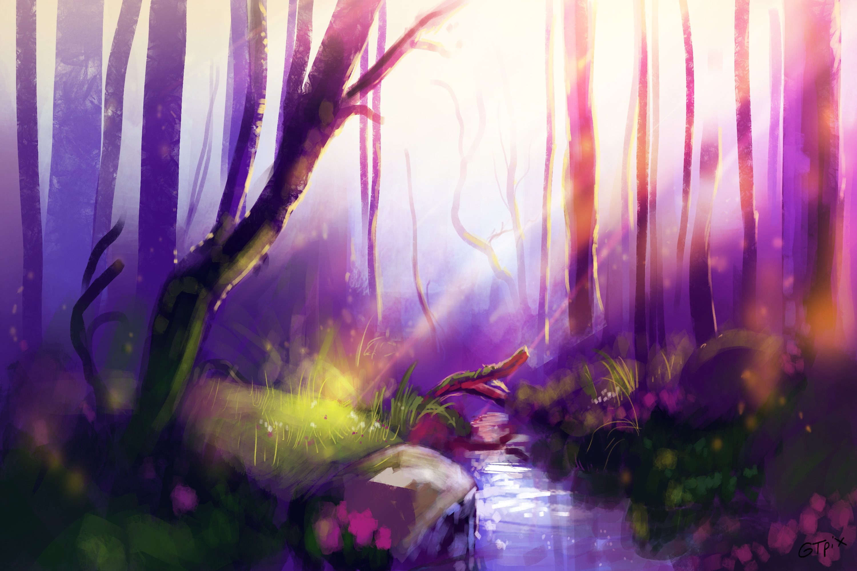 jour5_jardin_feerique.jpg