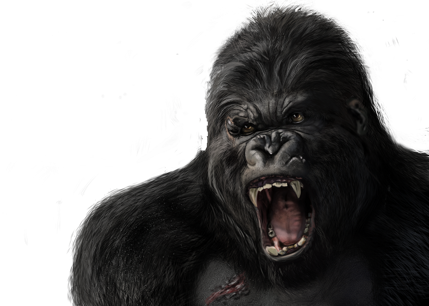 kong.png