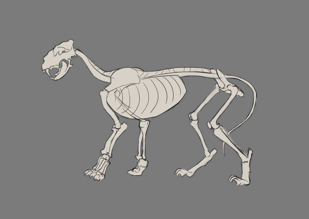 lion-skeleton_1.jpg