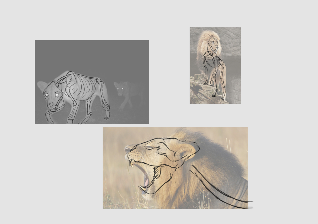 lion-skeleton_5.jpg
