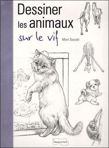 mari-suzuki-dessiner-les-animaux-sur-le-