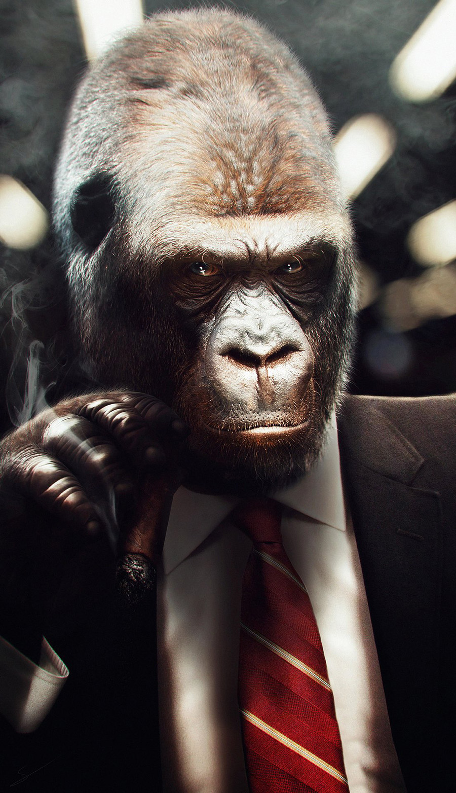 maxime-schilde-gorille-smoker-def-bd-02-