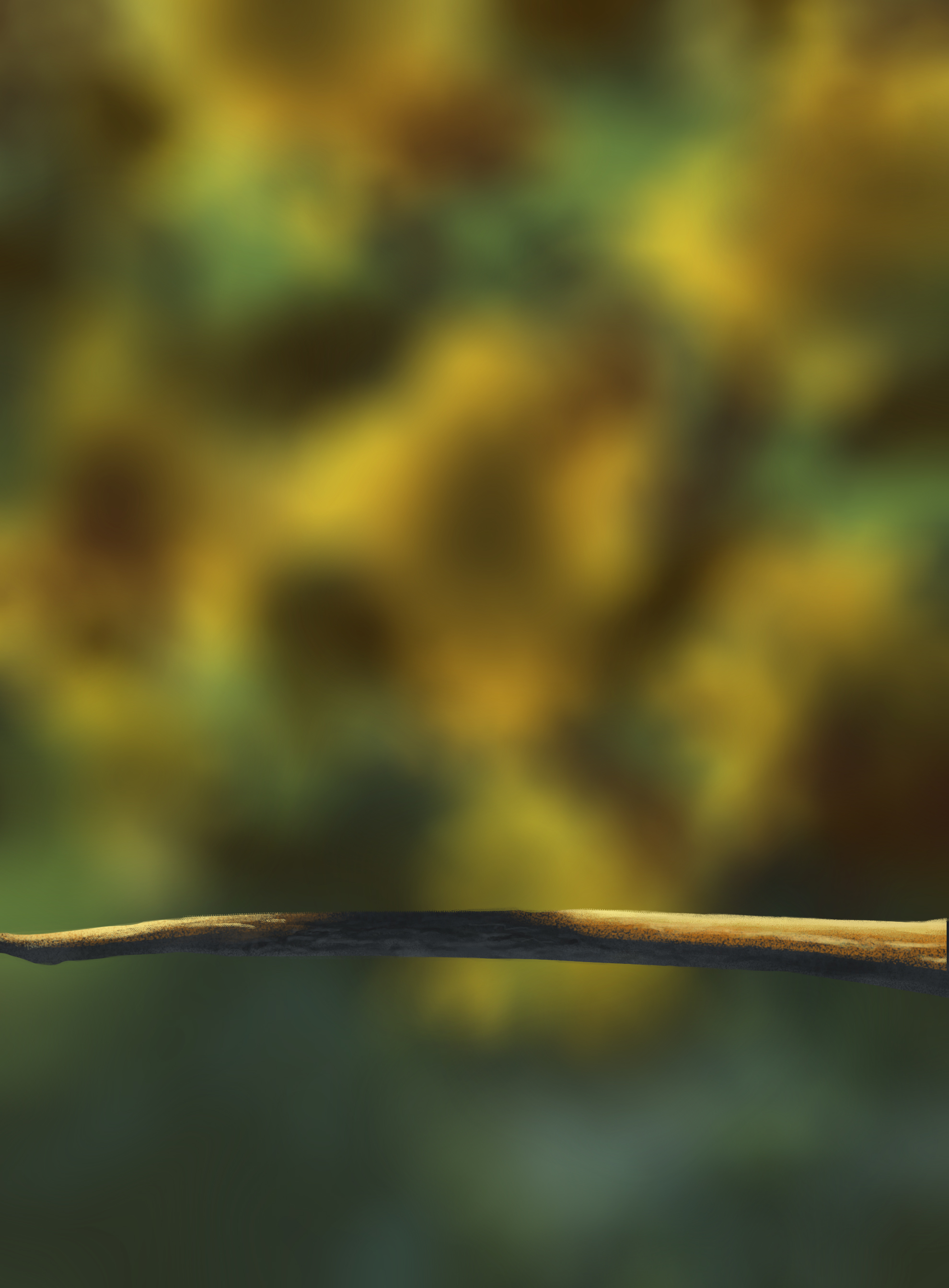 me_DPS-Prog-1-1-Exercice5-Oiseau-Commenc