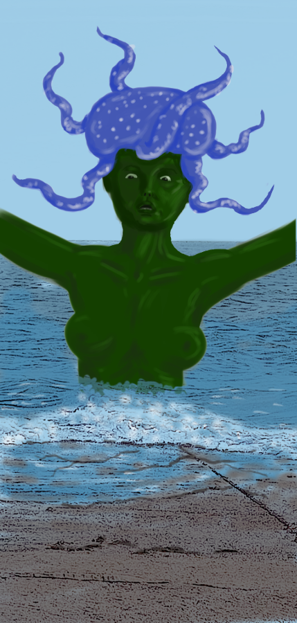 meduse3_p.png