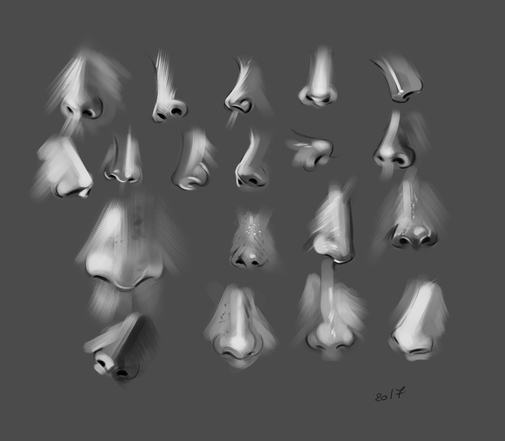 nose-01.jpg
