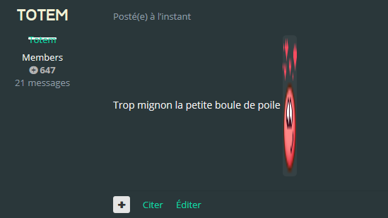 nouveau-post.png