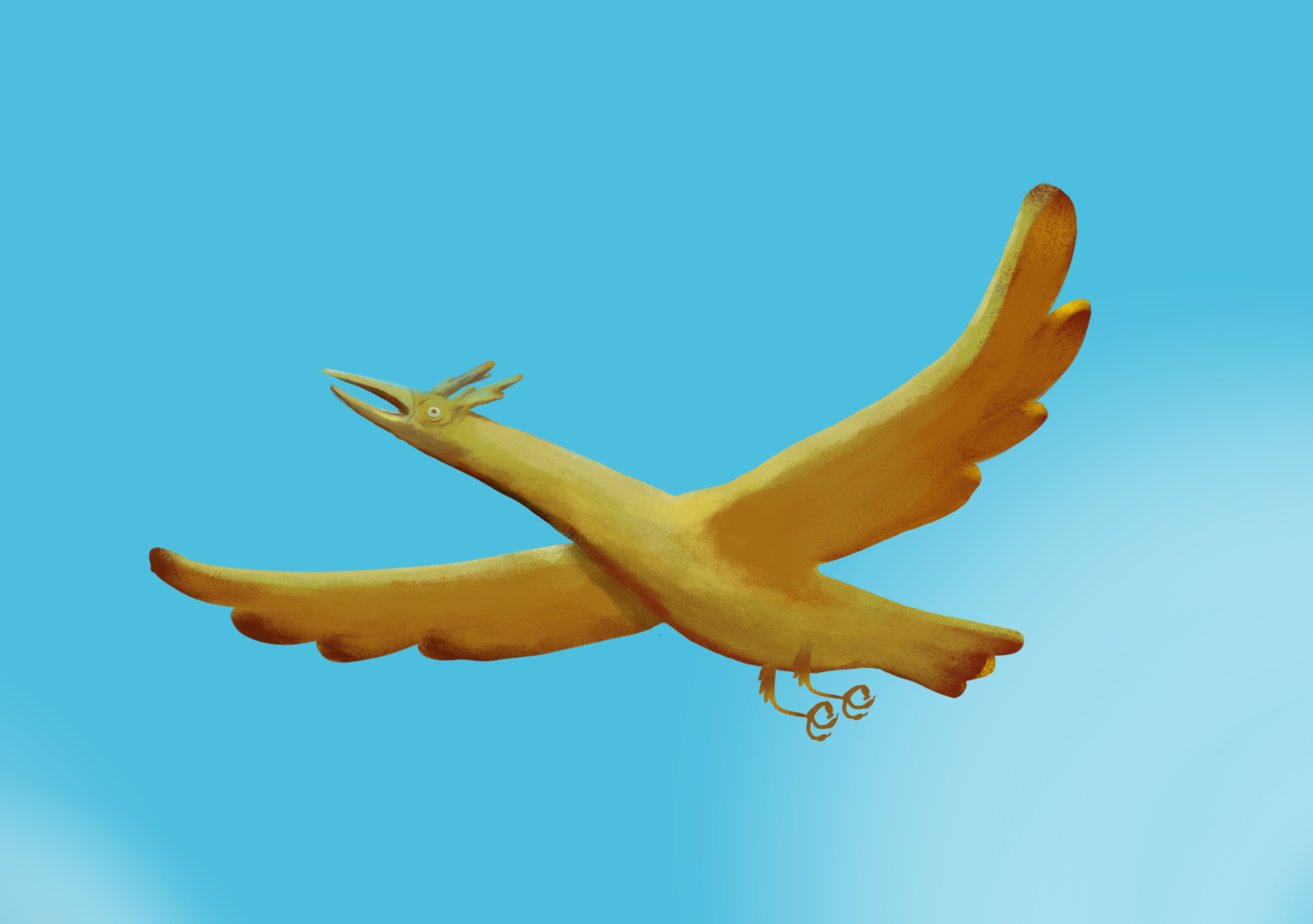 oiseau-3.png