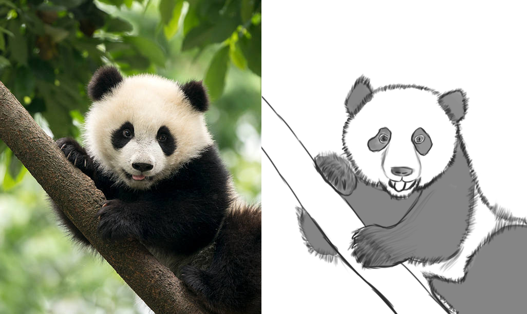 panda-4.jpg